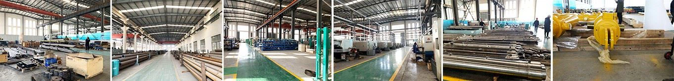 workshop profile